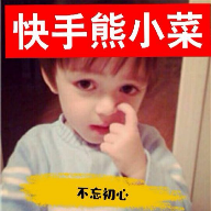 熊小菜美化包