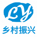 联妙乡村振兴 
