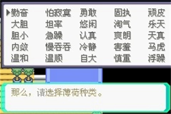 口袋妖怪究极绿宝石5.5小智版图3
