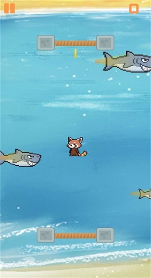别被鲨鱼吃掉图2