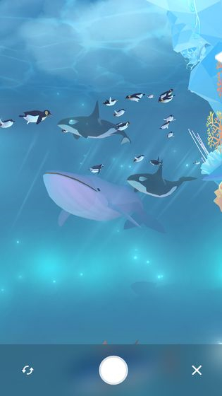 深海水族馆极地国际服图5