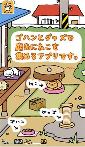 猫咪后院图4