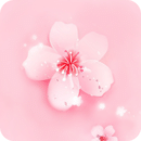 桃花直播