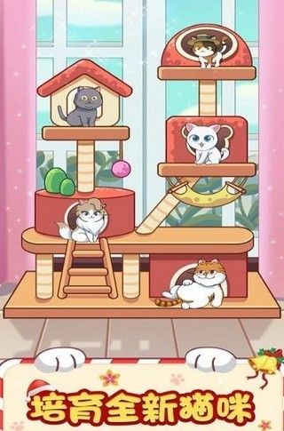 猫咪小家图3