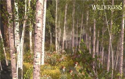 wilderless图2