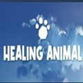 Healing Animal免费完美手机版