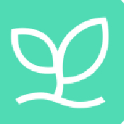 班比