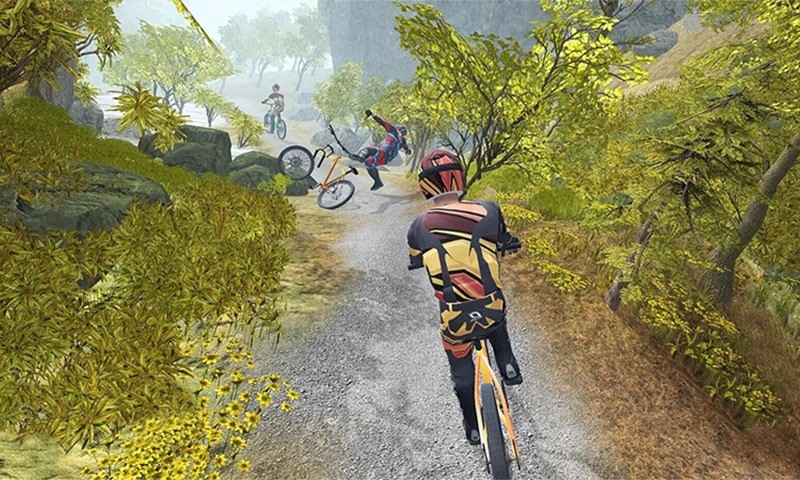 模拟登山自行车图2