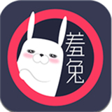 羞兔动态壁纸手机版