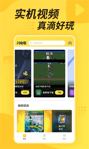 闪电龟图5