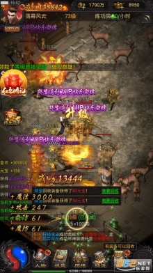 贪玩蓝月至尊返利版(4)