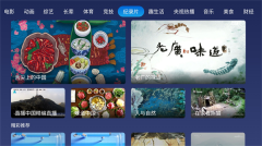 小鲸电视永久免升级会员版图2