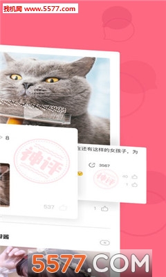 皮皮虾视频手机版