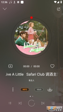 hifi音乐专业版图5
