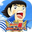 Fate of Phoenix
