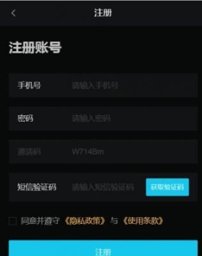 极光艺术图3