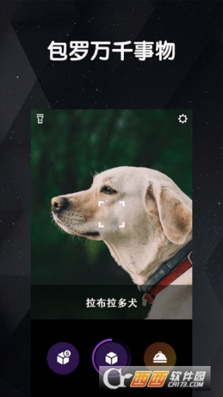 看道图1