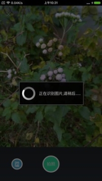 农歌图5