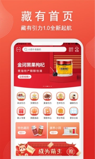 藏有引力图3