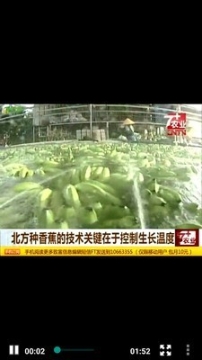 农歌图4