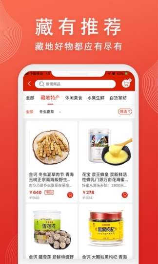 藏有引力图1