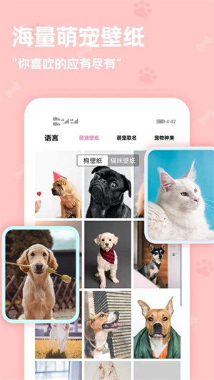 动物语言翻译器中文版截图4