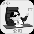 小小IT公司完整版