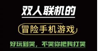 双人联机游戏