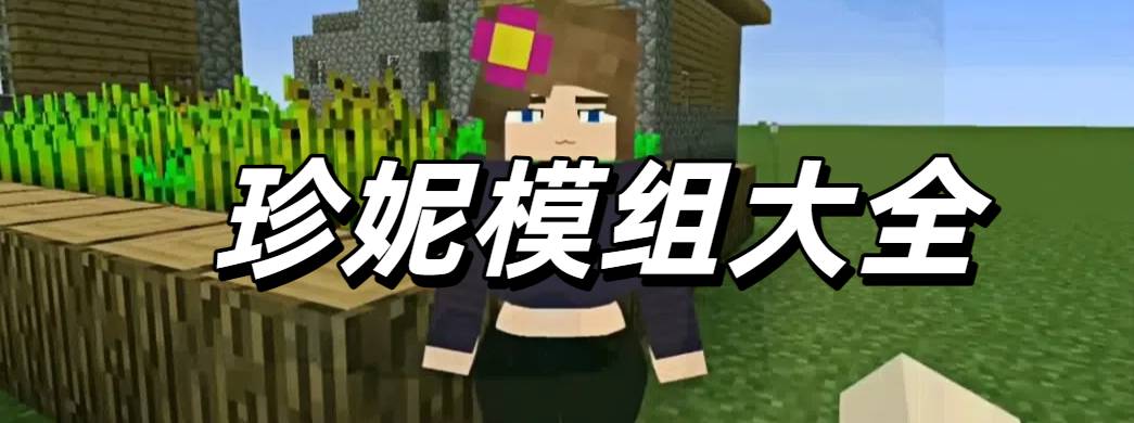 珍妮模组大全