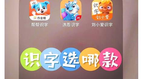 识字软件
