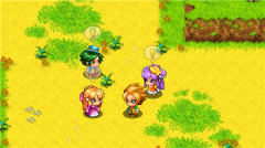 宠物王国单机版图2