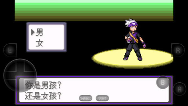 口袋妖怪漆黑的魅影最新版图3