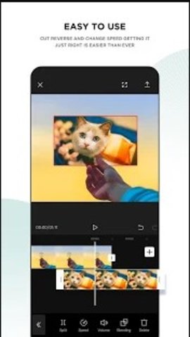 CapCut 图2