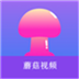 蘑菇视频手机版