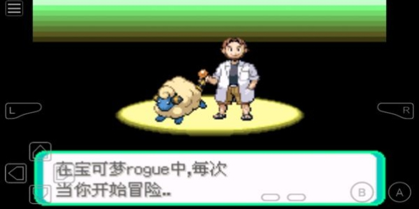口袋妖怪rogue(2)