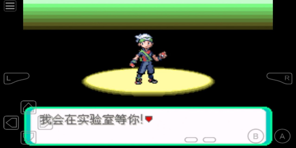 口袋妖怪rogue(3)