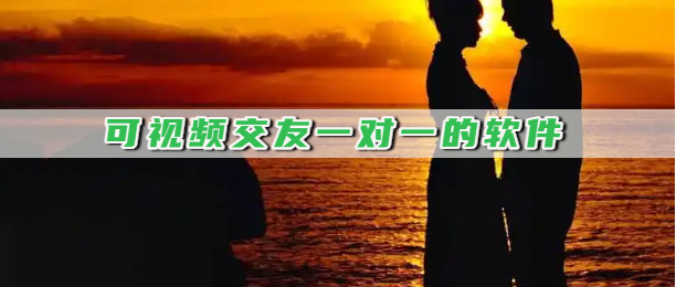 可视频交友一对一的软件
