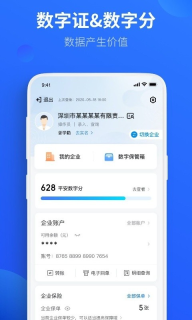 平安数字口袋(4)