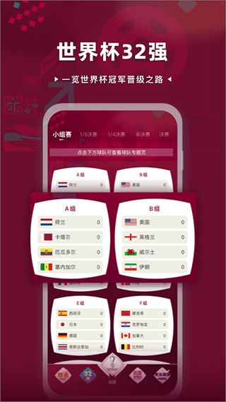 卡塔尔世界杯直播CCTV5软件(央视体育)图3