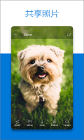 Microsoft OneDrive手机版图1