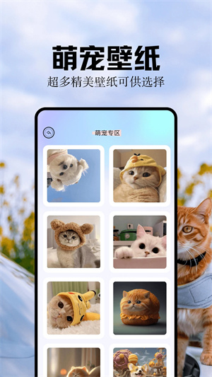 魔秀壁纸安装 v1.4 安卓版(3)