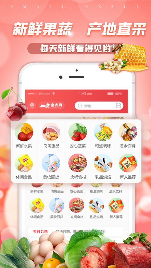 金大狗到家(3)