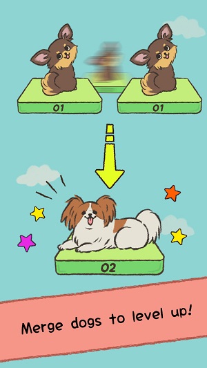 狗狗太可爱了(2)
