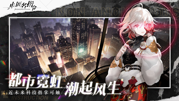 非匿名指令图2
