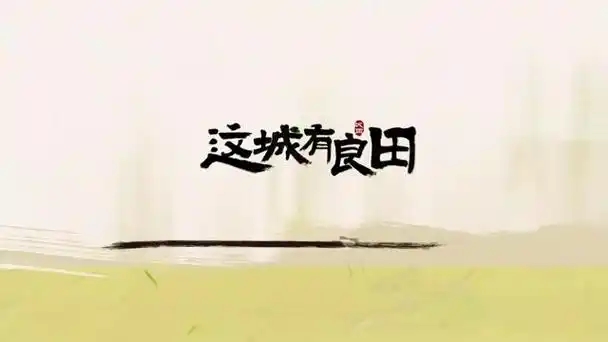 这城有良田