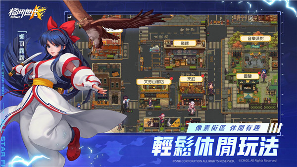 SNK格斗世代(5)