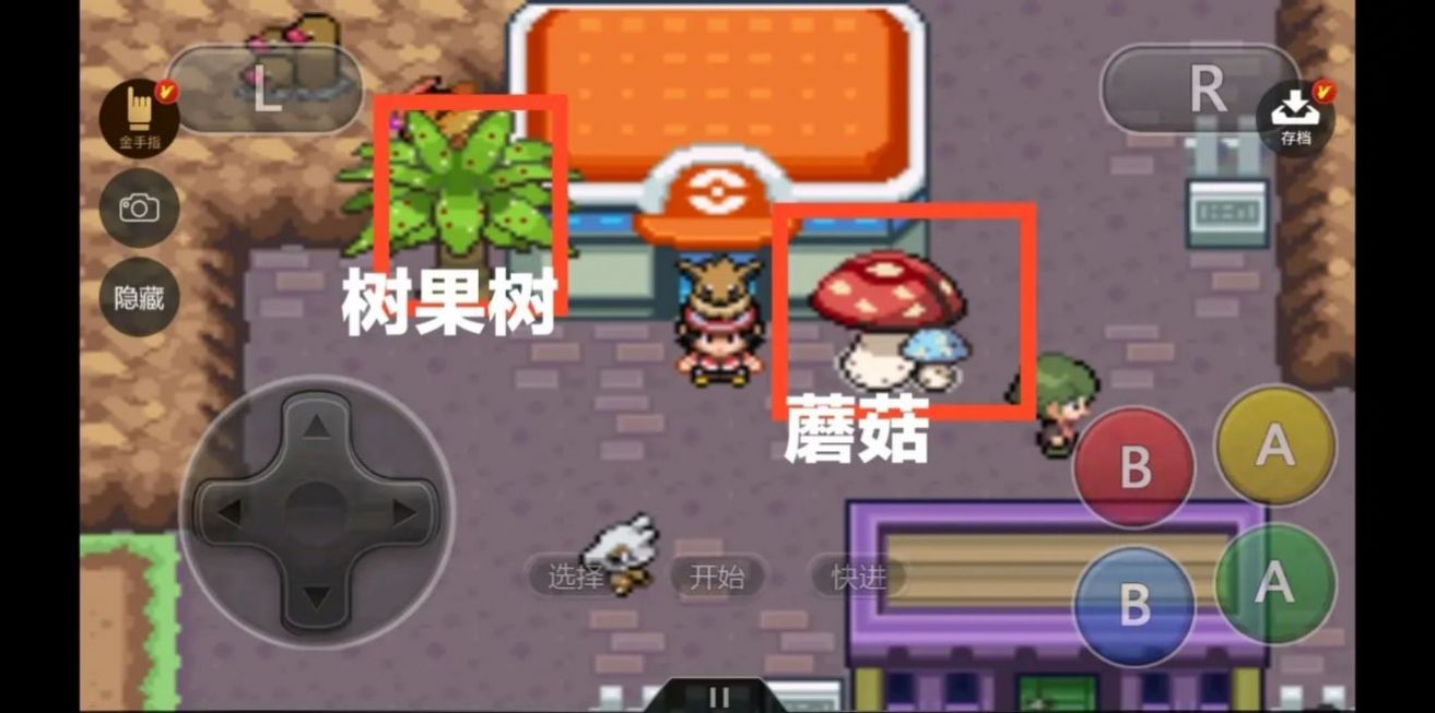 口袋妖怪-永恒之炎xyz截图2