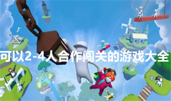 2-4人联机游戏
