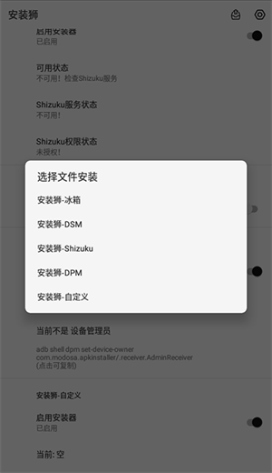 安装狮正版(5)
