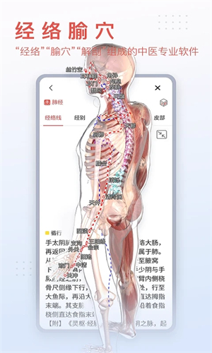 3DBody解剖软件6.0安卓版(1)